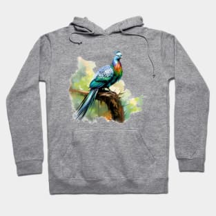 Nicobar Pigeon Hoodie